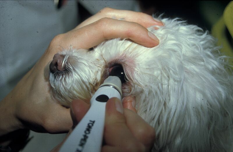 Tonometrie - Augeninnendruckmessung