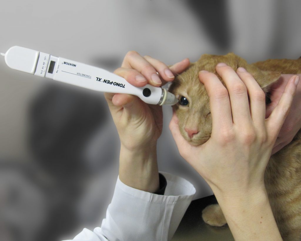 Tonometrie - Augeninnendruckmessung