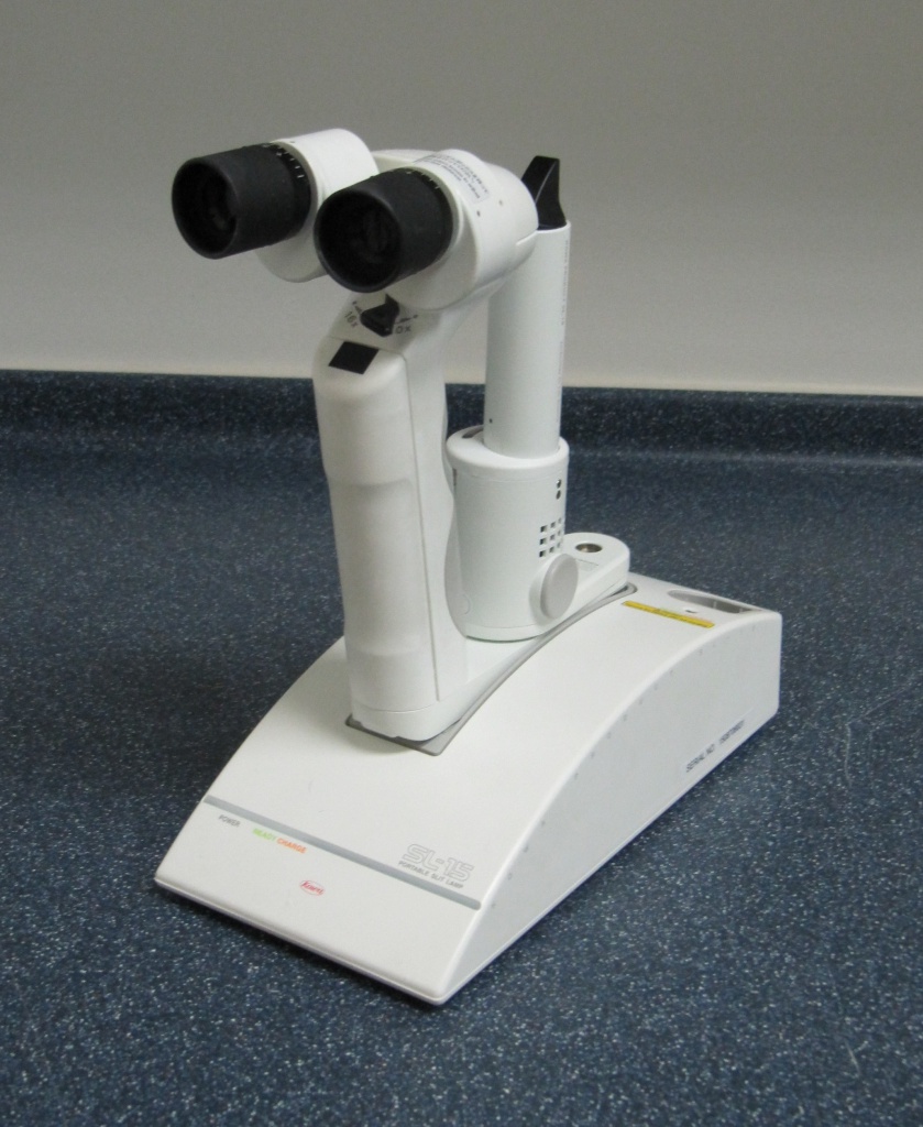 Augenuntersuchung Augen Tierarztpraxis