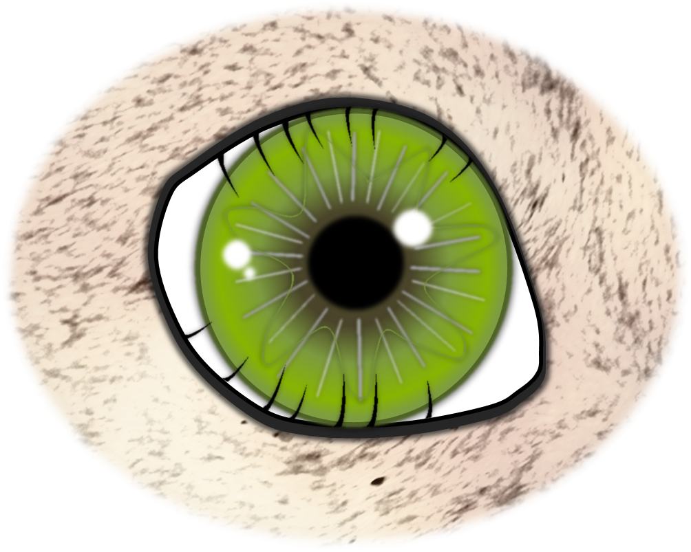 Operation Der Fehlgerichteten Haare 1