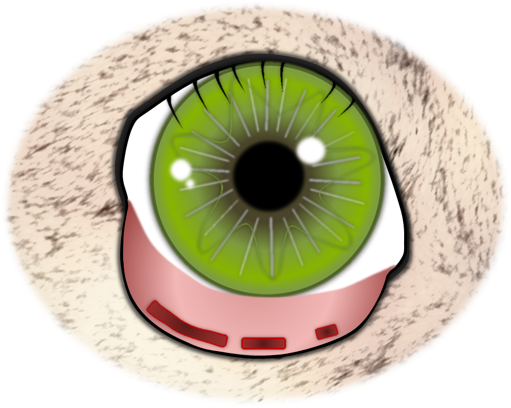 Operation Der Fehlgerichteten Haare 3