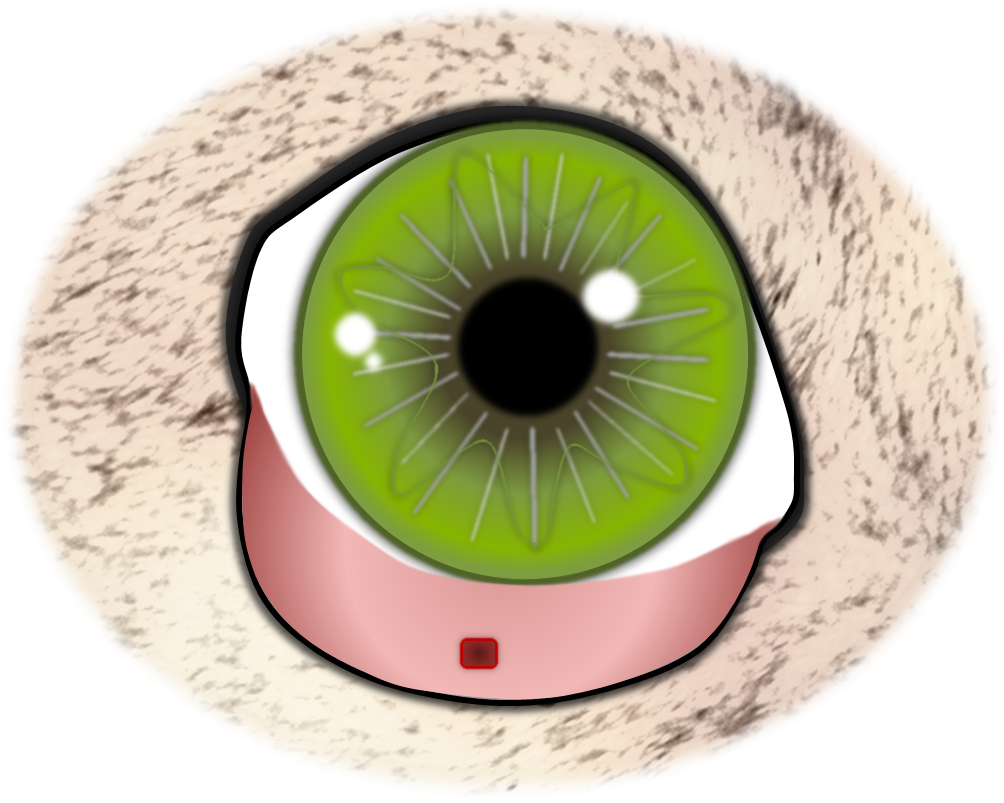 Operation Der Fehlgerichteten Haare 5