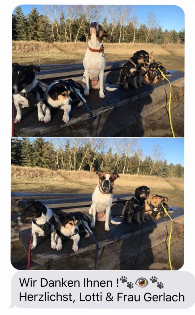 Kundenmeinung Lotti 2