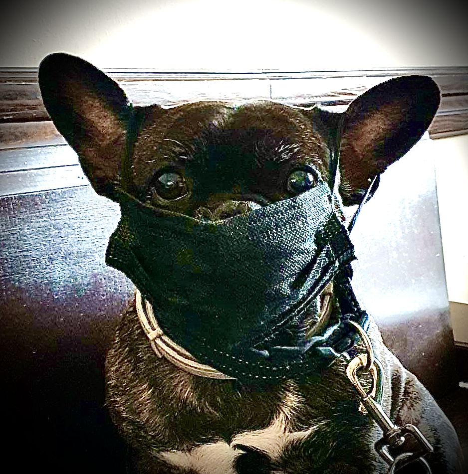 70bc24e6 8ac8 498e 8d19 2e19f2ff20a6