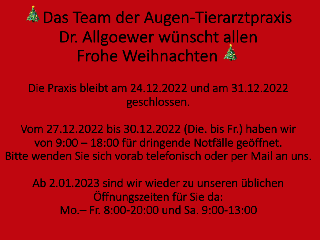 Weihnachten2022 2