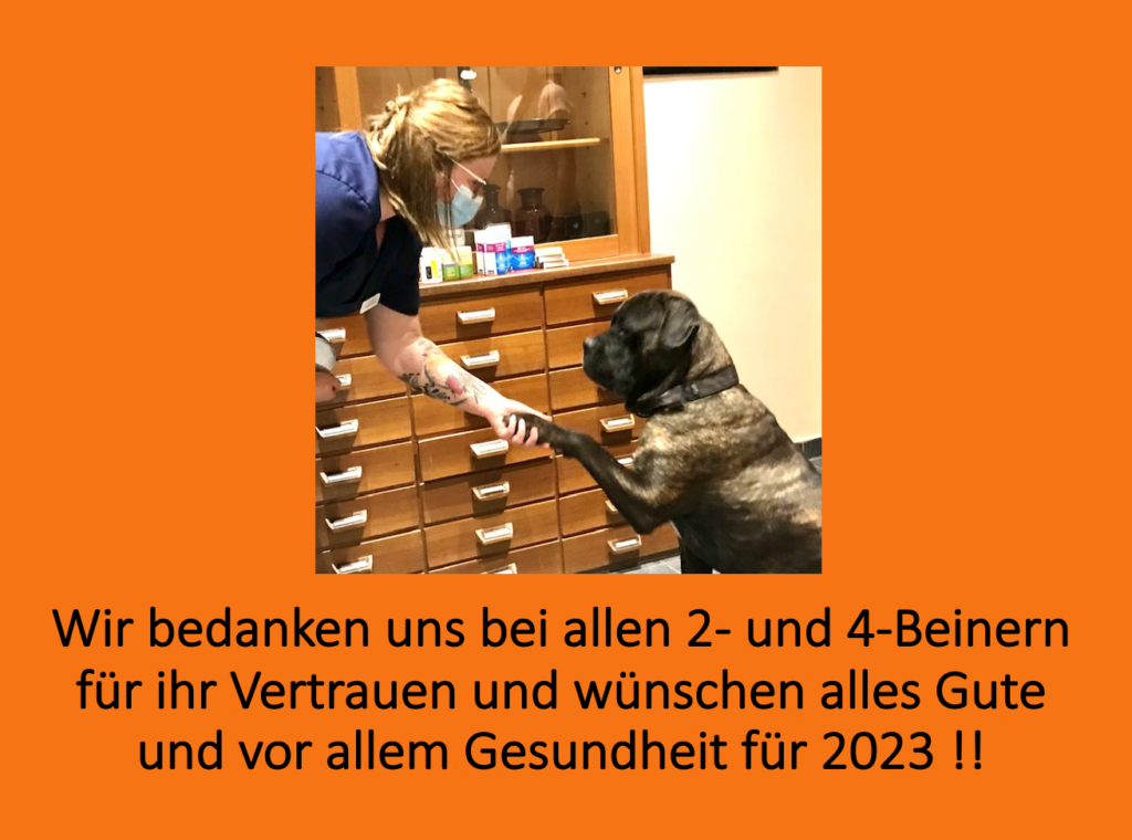 Weihnachten2022 3