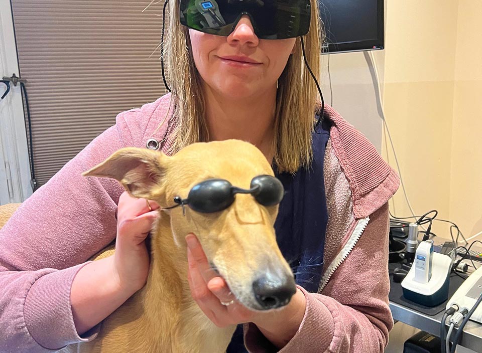 Lichttherapie Für Tränenfilmprobleme