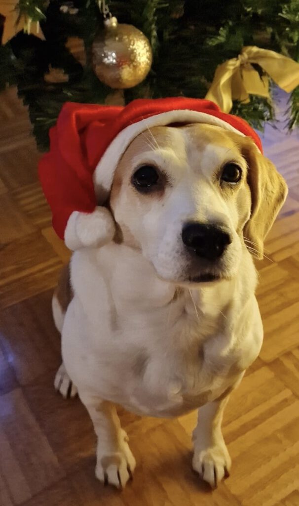 4a1082c6 55ea 4e18 82bf B2a77c27f746