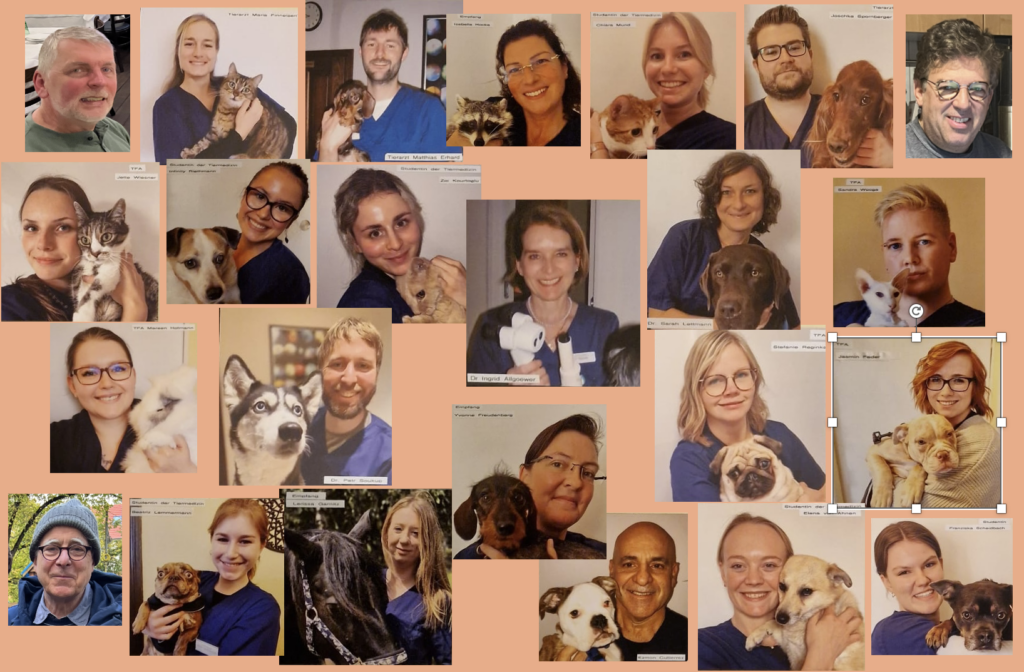 Weihnachten Praxis 2024