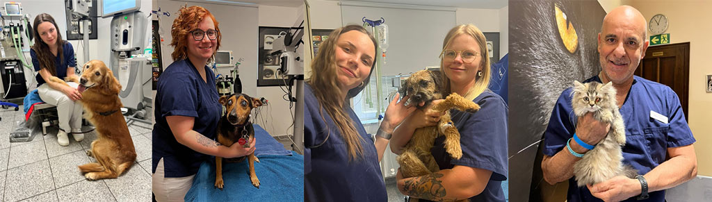 Stellenangebote Teaser Img