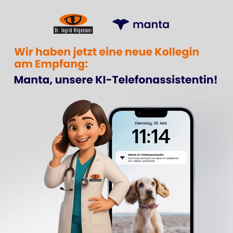Ki Telefonassistentin